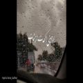 عکس کلیپ بارانی / کلیپ بارانی برای وضعیت واتساپ ، یهو می بینی بارون میگیره