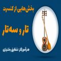 عکس بخش‌هایی از کنسرت هنرجویان تار و سه‌تار آموزشکاه موسیقی پارس