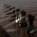 عکس آهنگ اِلما با ساز سنتور (حسین محمدی)