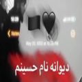 عکس مداحی زیبا - کلیپ محرم دیونه نام حسینم - نوحه خوانی ماه محرم