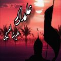 عکس بهترین مداحی ایرانی / علمدار علیرضا طلیسچی