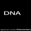 عکس DNA