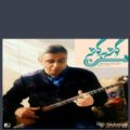 عکس حجاز آواز ابوعطا ردیف میرزاعبدالله امیرحسین رائی سه تار