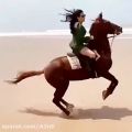 عکس اهنگ عاشقانه /اسب سواری کنار ساحل