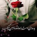 عکس عشق من ناز نکن_کلیپ عاشقانه_آهنگ احساسی و زیبا