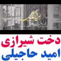 عکس آهنگ دخت شیرازی/ امید حاجیلی