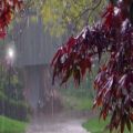 عکس مناظر زیبای باران با صدای آرامش بخش طبیعت و صدای موزیک پیانو