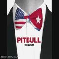 عکس آهنگ جدید Freedom ............ Pitbull