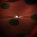 عکس میکس لیدی باگ ladybug با آهنگ Hey Ladies !