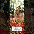 عکس بهترین رقص هزارگی - رقص هراتی - فیلمرقص افغانی جدید