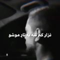 عکس امیر مقاره