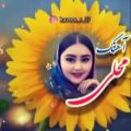 عکس عاشقانه لری|کلیپ نوشته دارجدید|عاشقانه رمانتیک|عاشقانه|محلی جدید|اهنگ محلی|1