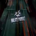 عکس بیژن یار حالت پرواز - Bijan Yaar - Halate Parvaz (Official Music Video)