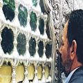 عکس اربعین حسینی راه عاشقی.نماهنگ
