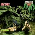 عکس موسیقی کماندوز 2 | Commandos 2 | soundtrack | night guard