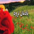 عکس دکلمه(یادمان نرود)