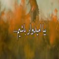 عکس دکلمه(بیا امیدوار باشیم)