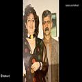 عکس ئری نه‌باخ - استاد ناصر رزازی - کلهر