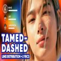عکس ENHYPEN - Tamed-Dashed (Line Distribution Lyrics)