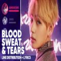 عکس BTS - Blood sweet and Tears (Line Distribution Lyrics)