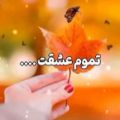 عکس اهنگ شاد|اهنگ جدید|شادبرای استوری|رفیق بامرام|عاشقانه کوتاه|عاشقانه جدیداستوری|ض