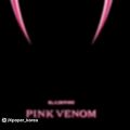 عکس ورژن بی کلام Pink Venom پینک ونوم از بلک پینک BLACKPINKبرای کاور