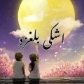 عکس حمیدهیراد_قلب من