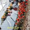 عکس اجرای مراسم ختم موسیقی سرمزار ترحیم ۰۹۱۲۰۰۴۶۷۹۷ خواننده سنتور نی نوازنده