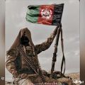 عکس آهنگ لاتی افغانی - در کشور من جنگه همش تیر تفنگه - ایرانی مازندرانی