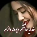 عکس لری