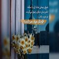 عکس میخوای رفیق امام زمان باشی *این ویدیو رو از دست نده*