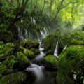 عکس صدای ارامبخش رودخانه زیبا در جنگل با کیفیت عالی , صدای اب رودخانه در طبیعت سبز