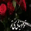 عکس تموم دنیای منی نفس نفس به یادتم ، کلیپ زیبای عاشقانه