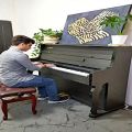 عکس آموزش پیانو آموزشگاه موسیقی شورانگیز گوهردشت کرج سینا گلکار مه