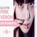 عکس ورژن بی کلام آهنگ جدید گروه بلک پینک pink venom black pink برای کاور