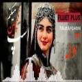 عکس زیباترین نغمه توله -فلوت- بهترین آهنگ افغانی اسپ قمچین می کنم