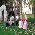 عکس اجرای گروه موزیک زنده وشاد مجالس عروسی لاکچری/۰۹۱۲۰۰۴۶۷۹۷/دف نوازی وسنتور نوازی