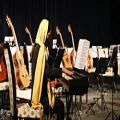 عکس کنسرت هنرجویی آموزشگاه موسیقی عرفان نادریان - بخش دوم