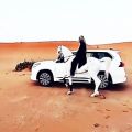 عکس رقص بسیار زیبا اسب عربی