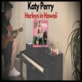 عکس Katy Perry-Harleys in Hawaii-piano, guitar launchpad cover|کاور آهنگ کیتی پری