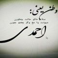 عکس شعر دربارهٔ احمدی