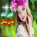 عکس ریمیکس آهنگ شاد بندری بستکی ای یارم ای یارم کجایی