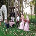 عکس اجرای موزیک زنده وشاد مجالس عروسی ۰۹۱۲۰۰۴۶۷۹۷ دف زن گروهی خانم ازدواج محضری