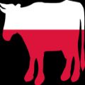 عکس Polish cow (Full Version) / گاو لهستانی (نسخه کامل)