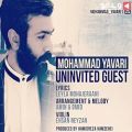عکس محمد یاوری - مهمان ناخوانده - Mohammad Yavari - Uninvited Guest