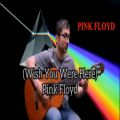 عکس Wish You Were Here - Pink Floyd