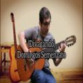 عکس Divagando - Domingos Semenzato