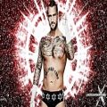 عکس تم سانگ CM PUNK در سال 2011