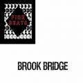 عکس اهنگ بی کلام BROOK BRIDGE