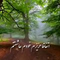 عکس اهنگ محمد لطفی / اهنگ عاشقانه و جدید